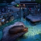 真夏の夜の動物園4